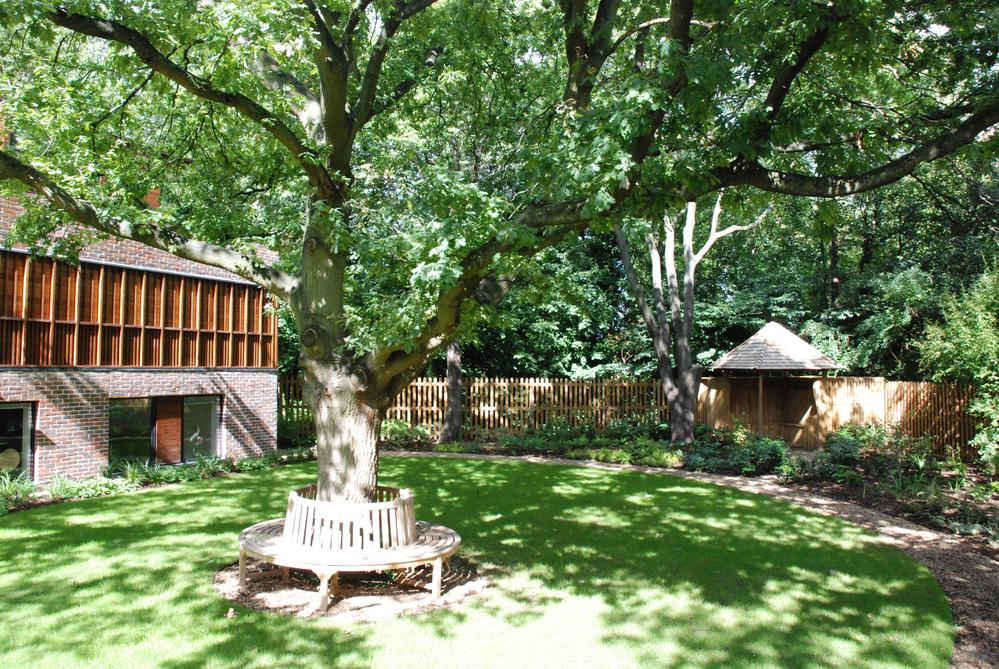 London Woodland Annabel Crowley